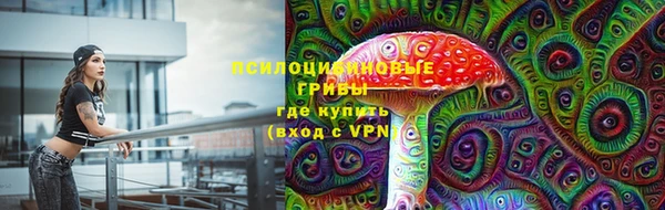 дживик Алзамай