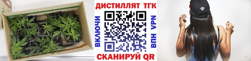 купить наркотики цена  Старая Купавна  Дистиллят ТГК THC oil 